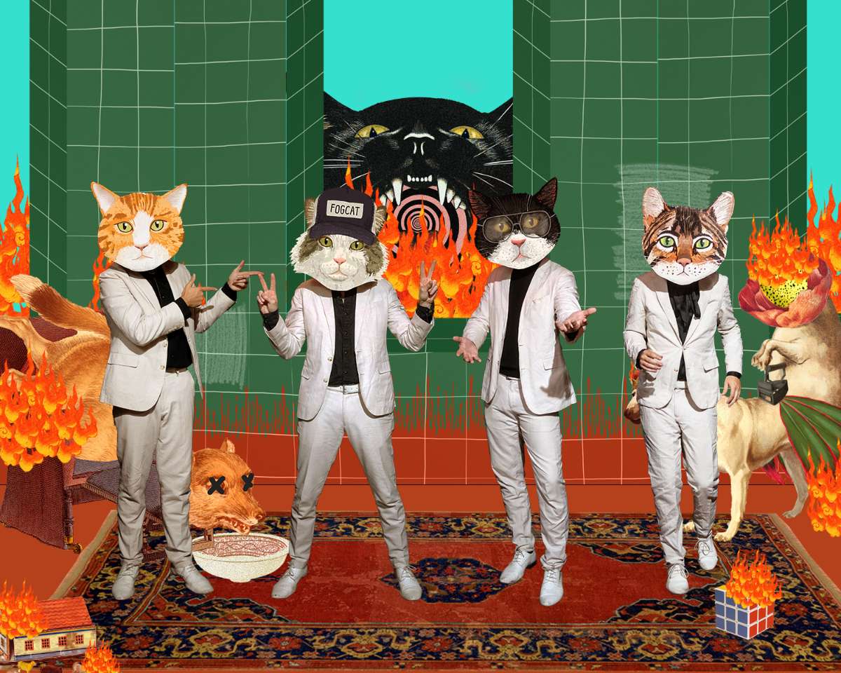Fantastic Cat